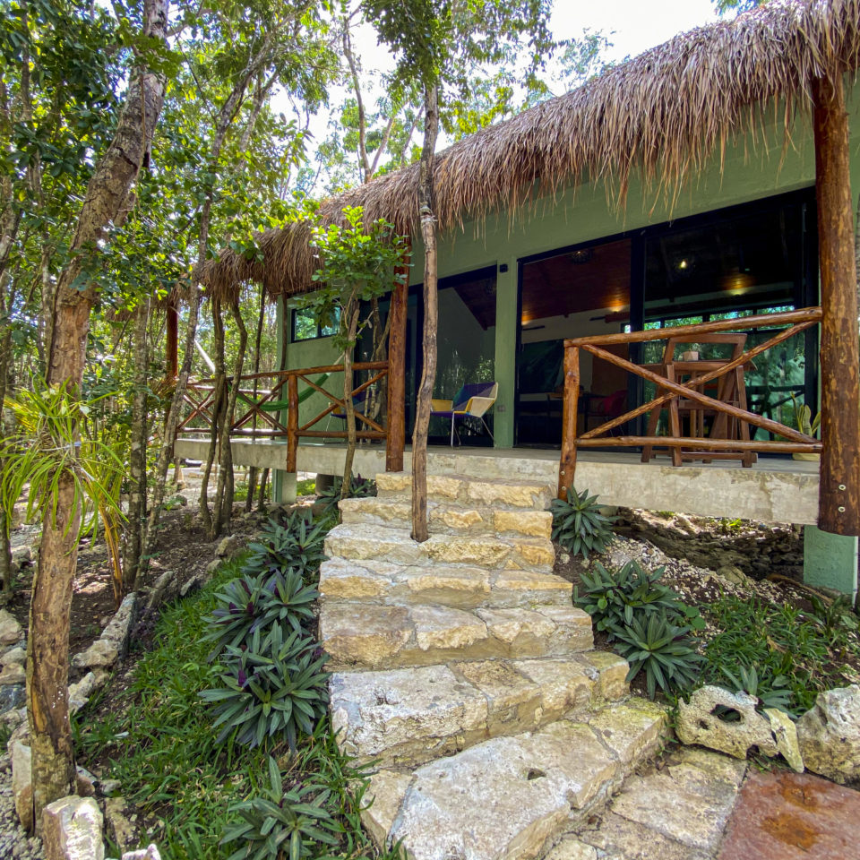 Villa Jaguar, alojamiento, exterior, naturaleza, frente, plantas, escaleras