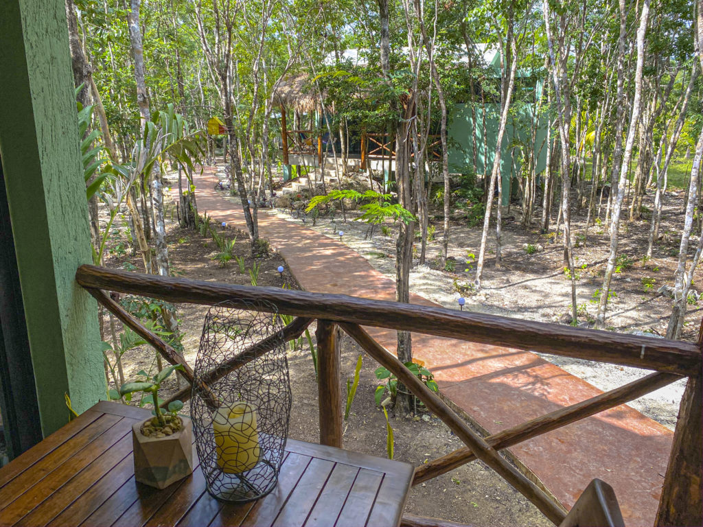 Villas Cozumel - Villa Tortuga, nature, breakfast, morning, accommodation in Cozumel