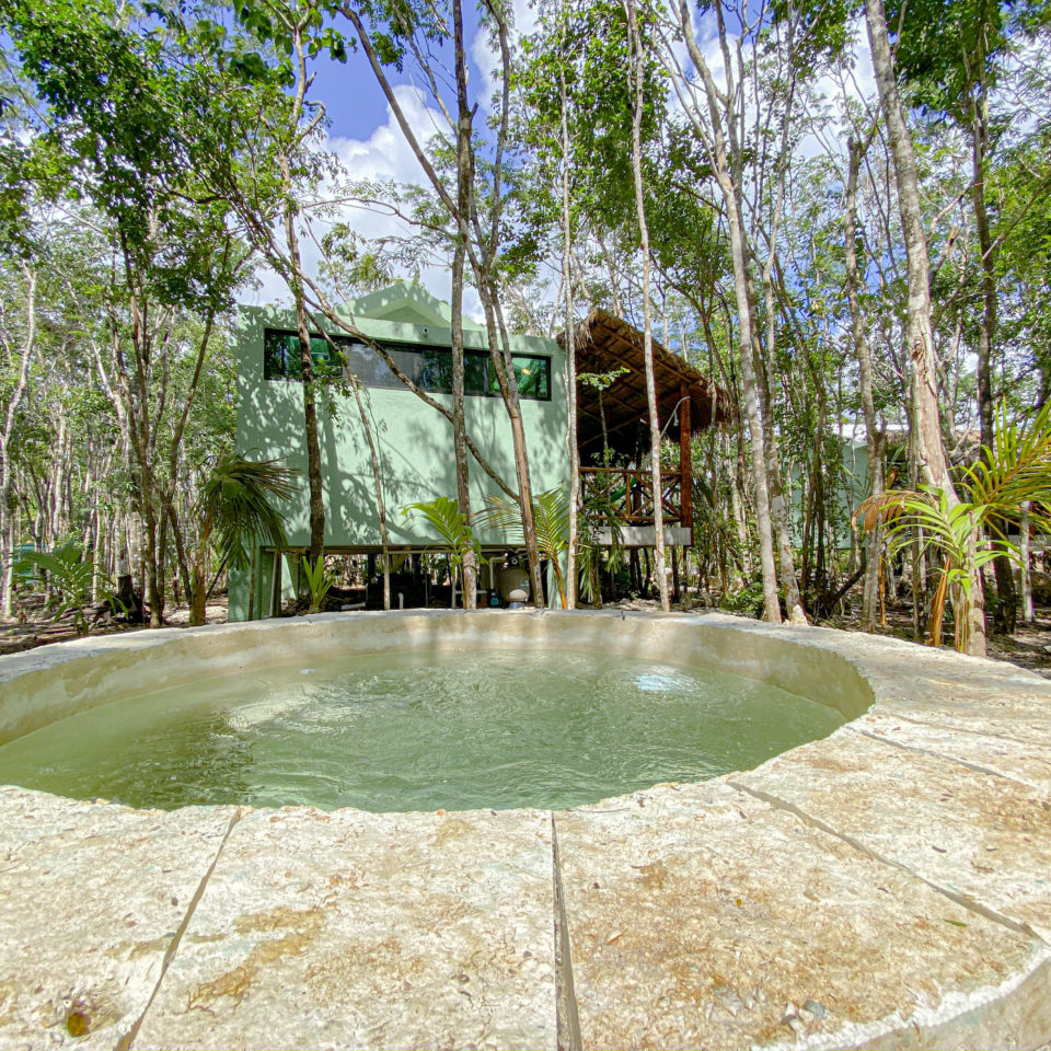 Villa Jaguar, plantas, alojamiento, exterior, jacuzzi, naturaleza, relajamiento