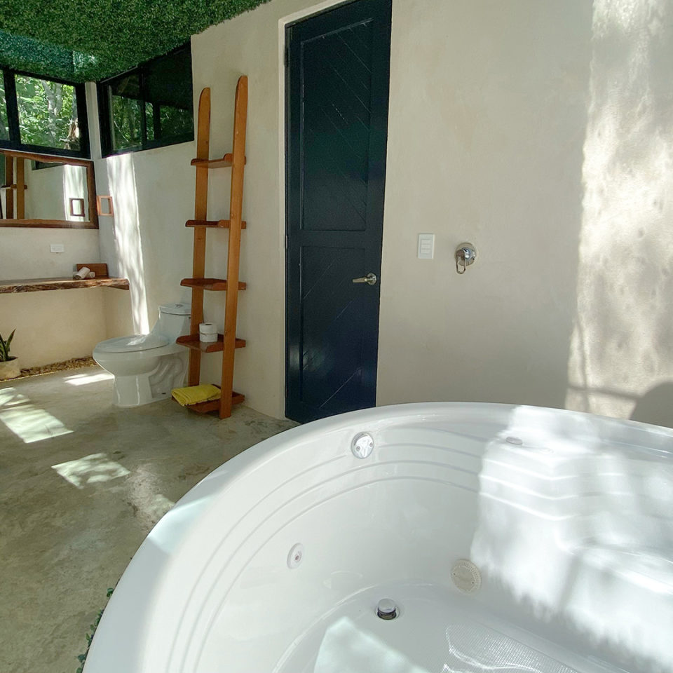 Villas Cozumel - Venado Villa, accommodation, bathroom, towels, jacuzzi, interior