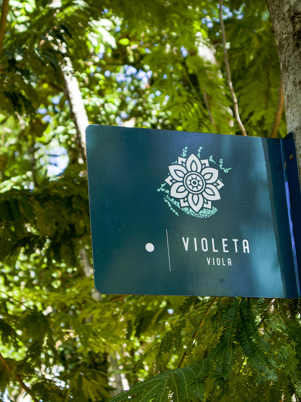 Violeta Villa, accommodation, garden