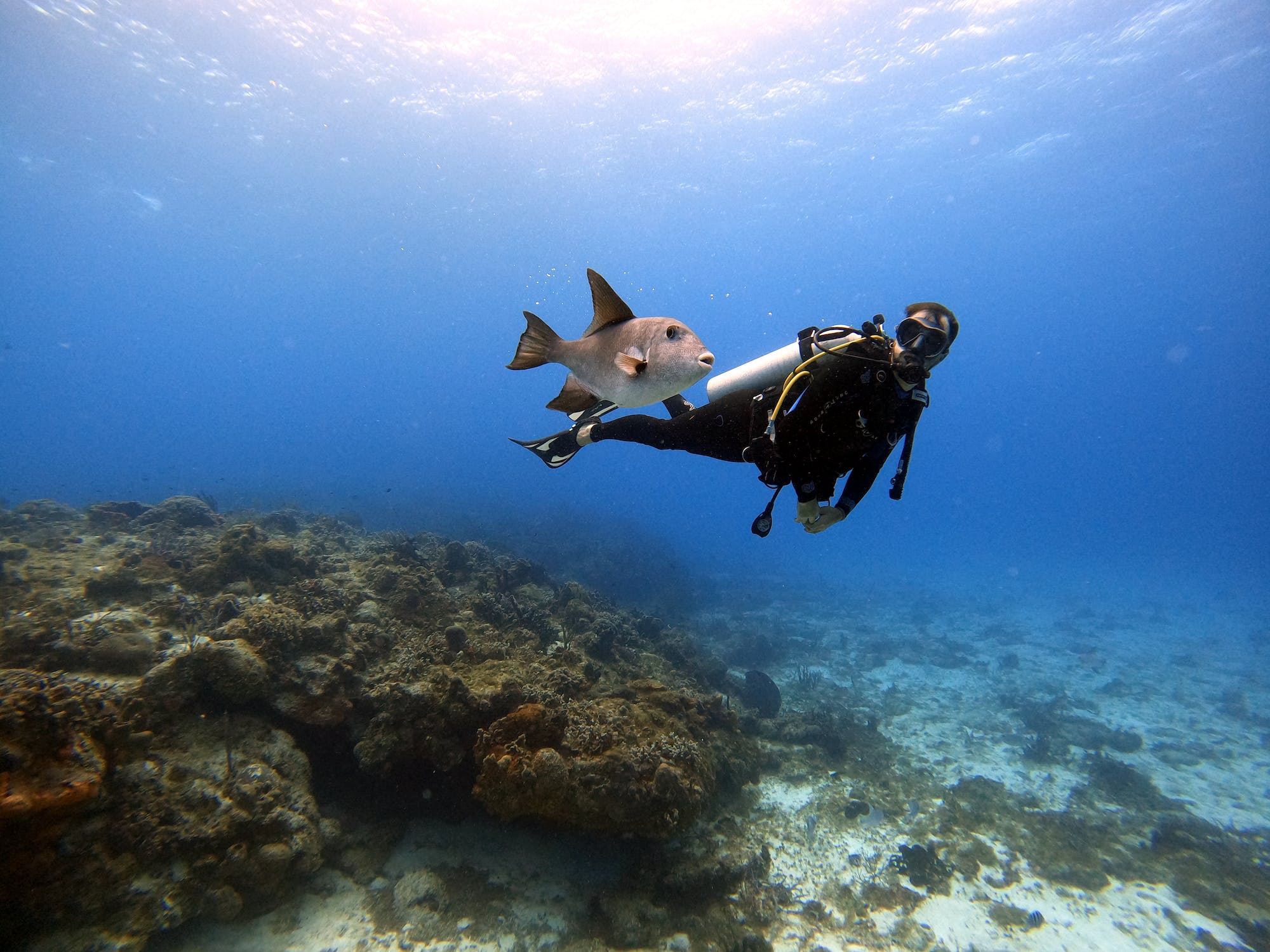 snorkeling cozumel