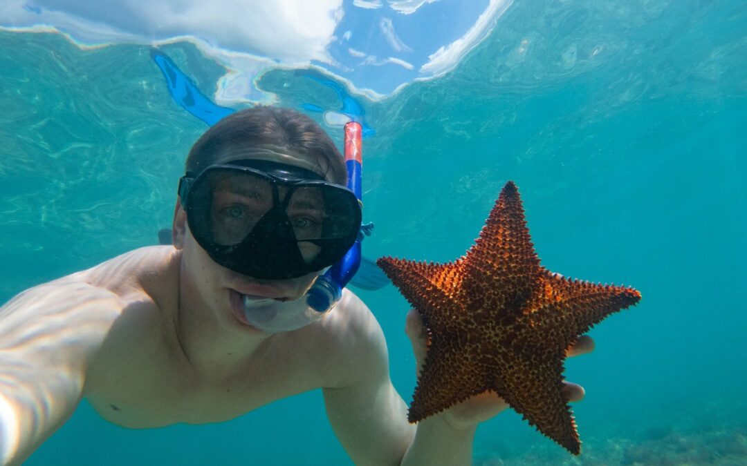 Snorkeling Cozumel