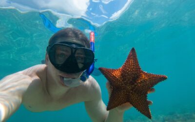 The Ultimate Guide to Snorkeling in Cozumel: Tips and Best Spots