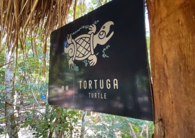 Tortuga 14